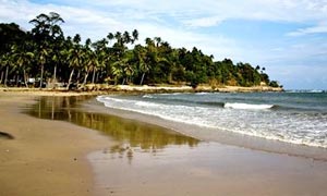 Alluring Andaman Tour